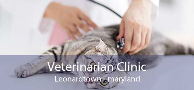 Veterinarian Clinic Leonardtown - maryland
