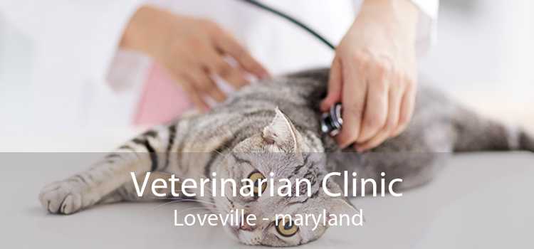 Veterinarian Clinic Loveville - maryland