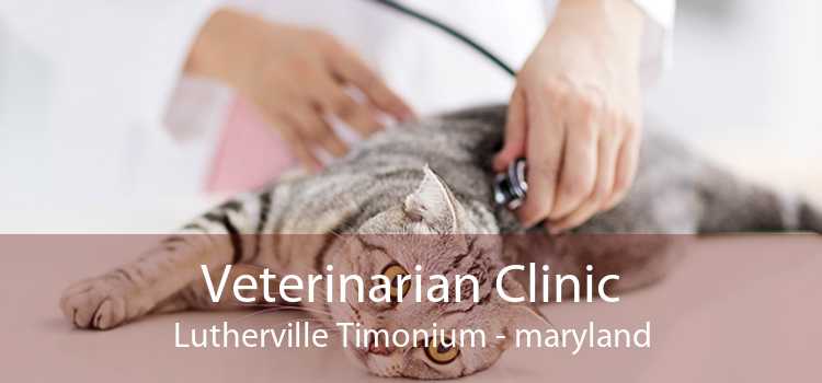Veterinarian Clinic Lutherville Timonium - maryland