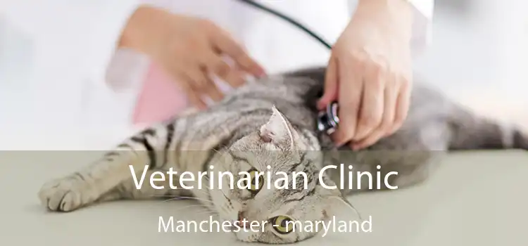 Veterinarian Clinic Manchester - maryland
