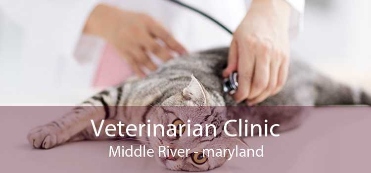 Veterinarian Clinic Middle River - maryland