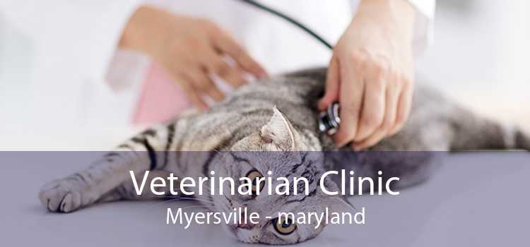 Veterinarian Clinic Myersville - maryland