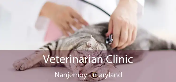 Veterinarian Clinic Nanjemoy - maryland