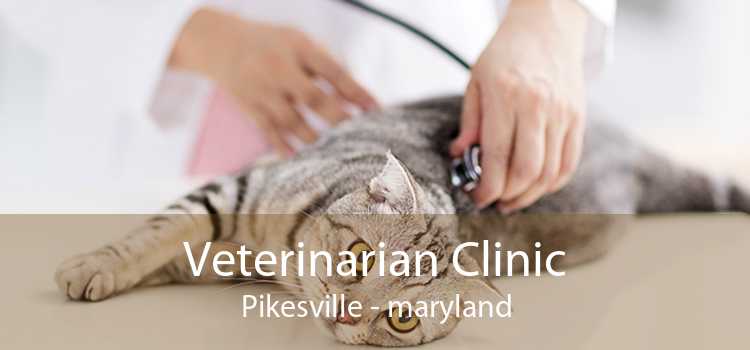 Veterinarian Clinic Pikesville - maryland