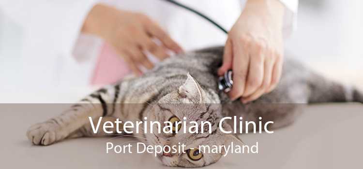 Veterinarian Clinic Port Deposit - maryland