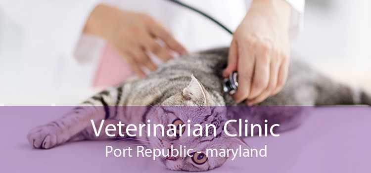 Veterinarian Clinic Port Republic - maryland