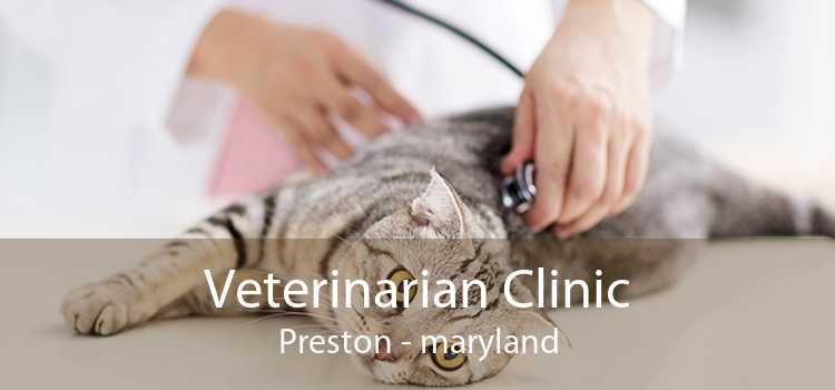 Veterinarian Clinic Preston - maryland