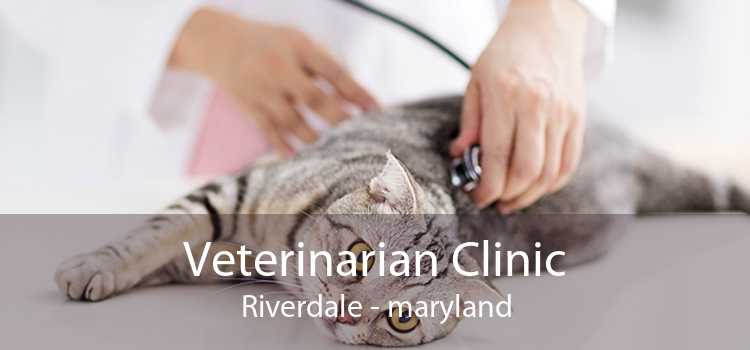 Veterinarian Clinic Riverdale - maryland