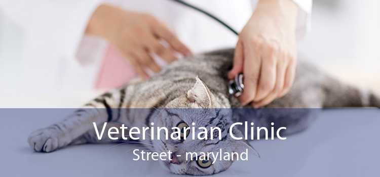 Veterinarian Clinic Street - maryland