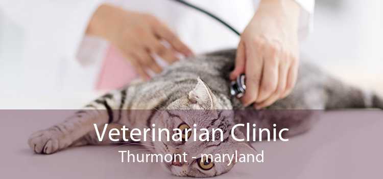 Veterinarian Clinic Thurmont - maryland