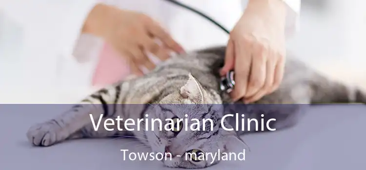 Veterinarian Clinic Towson - maryland