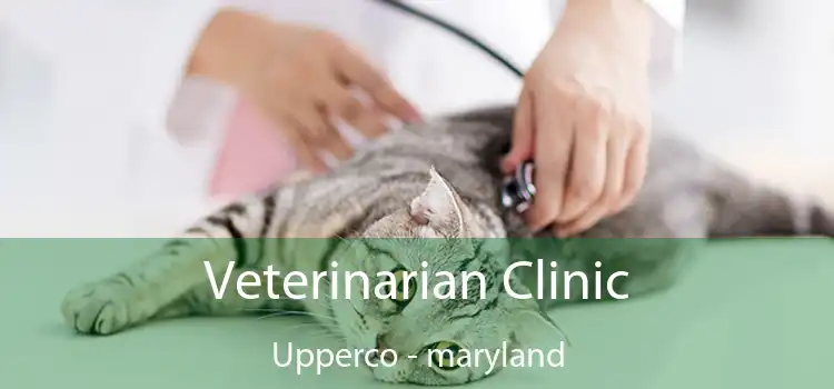 Veterinarian Clinic Upperco - maryland