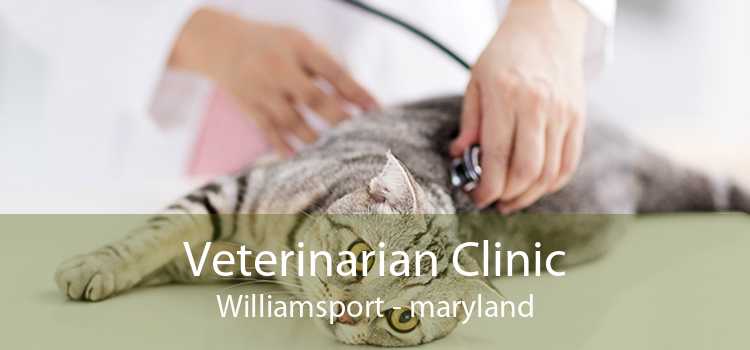 Veterinarian Clinic Williamsport - maryland