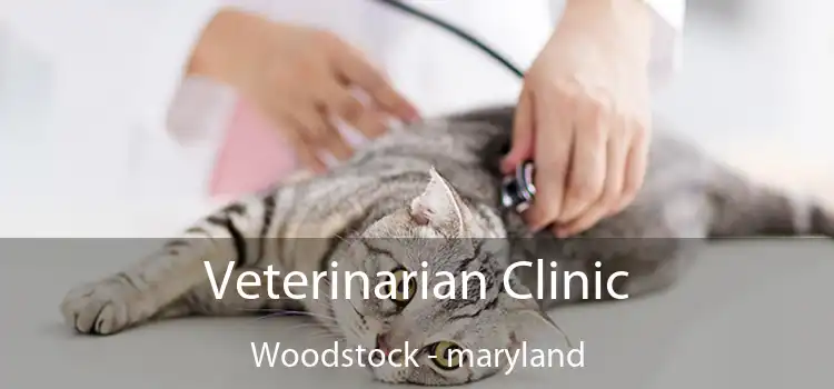 Veterinarian Clinic Woodstock - maryland