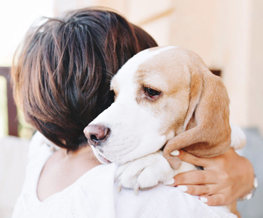 pet euthanasia in Street